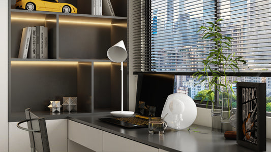 renovation basics